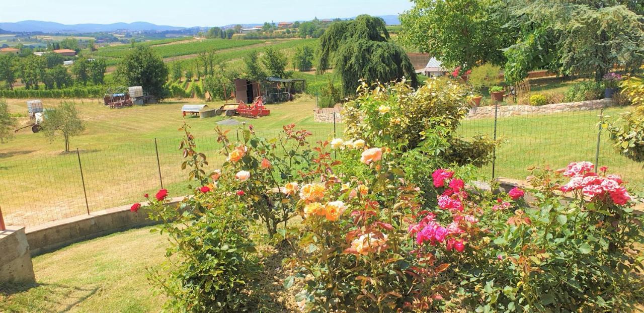 فيلا Casina Di Pacina Abbadia di Montepulciano المظهر الخارجي الصورة