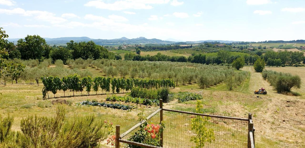 فيلا Casina Di Pacina Abbadia di Montepulciano المظهر الخارجي الصورة